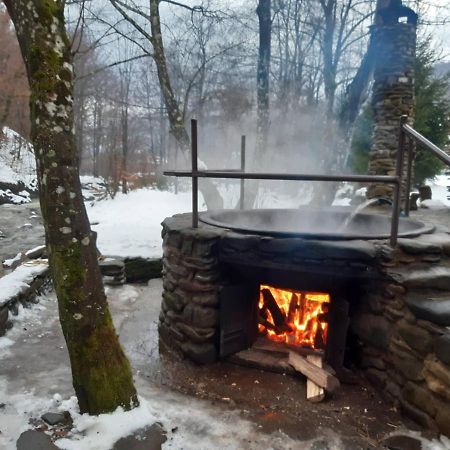 Хатина Біля Потока Villa Lumshory Dış mekan fotoğraf