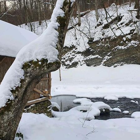 Хатина Біля Потока Villa Lumshory Dış mekan fotoğraf