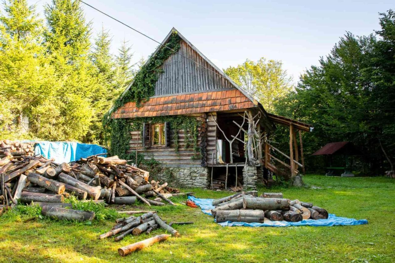 Хатина Біля Потока Villa Lumshory Dış mekan fotoğraf