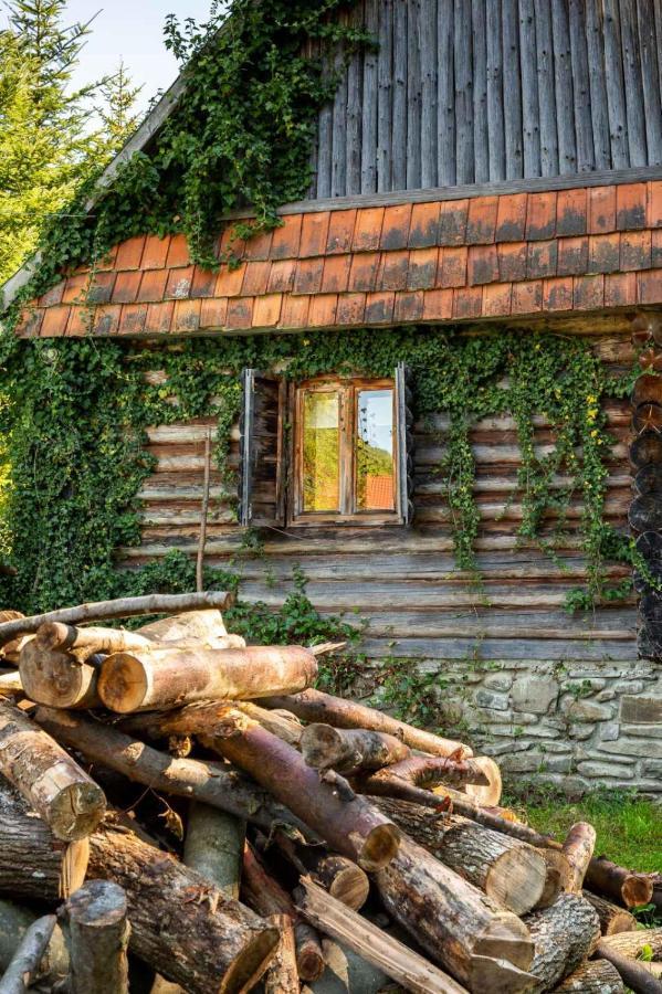 Хатина Біля Потока Villa Lumshory Dış mekan fotoğraf