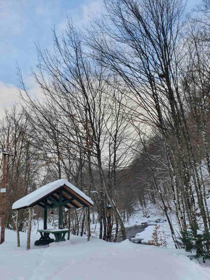 Хатина Біля Потока Villa Lumshory Dış mekan fotoğraf