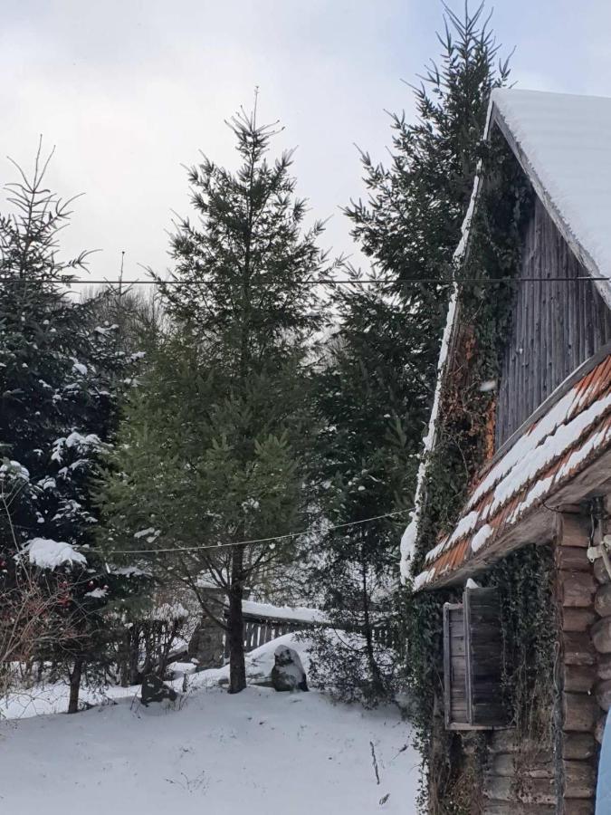 Хатина Біля Потока Villa Lumshory Dış mekan fotoğraf